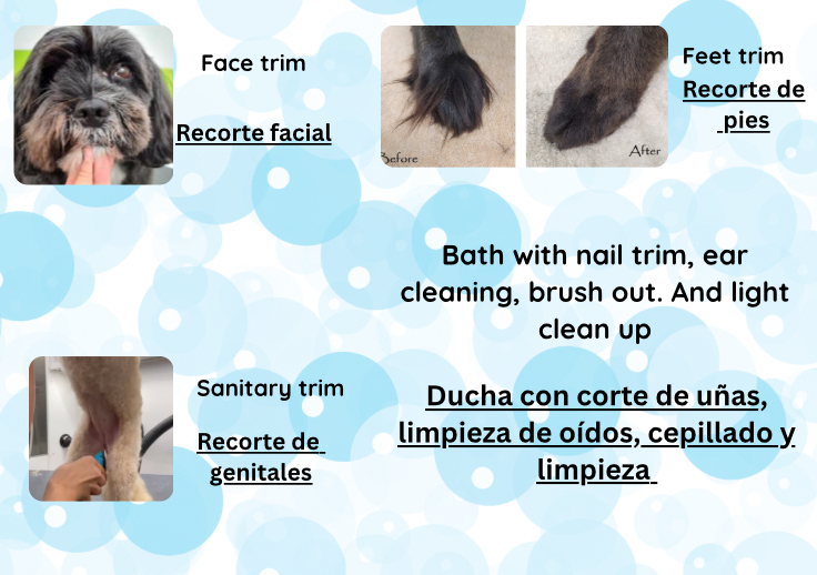 Clean up / Limpiar. Under 20lbs