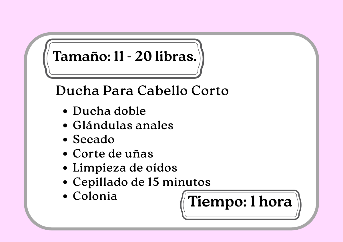 Ducha de pelo corto 11 - 20 libras