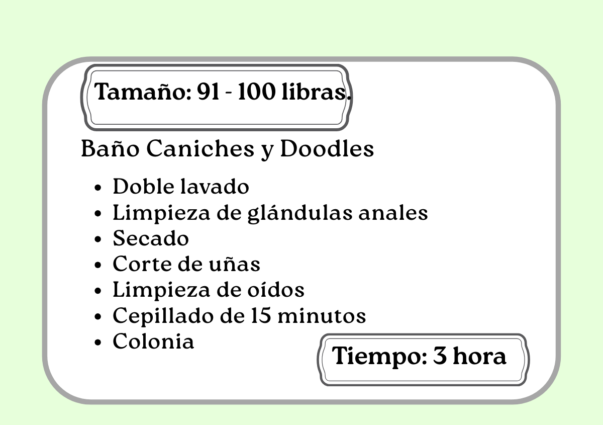 Baño Caniches y Doodles  91 -100 libras