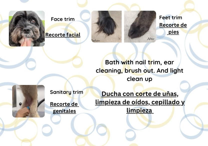 Clean up under 30 lbs