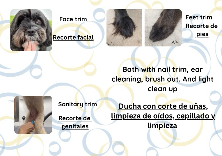 Clean up under 60 lbs