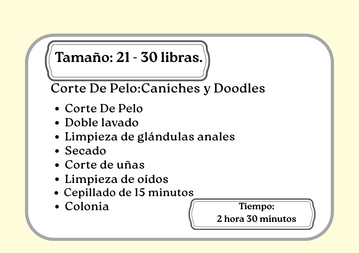 Corte De Pelo: Caniches y Doodles 21 - 30libras