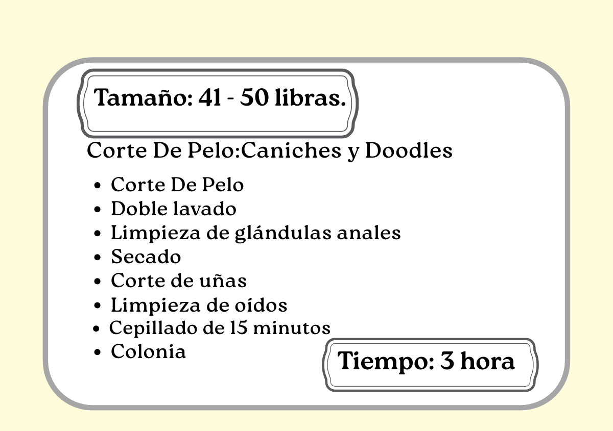 Corte De Pelo: Caniches y Doodles 41 - 50libras