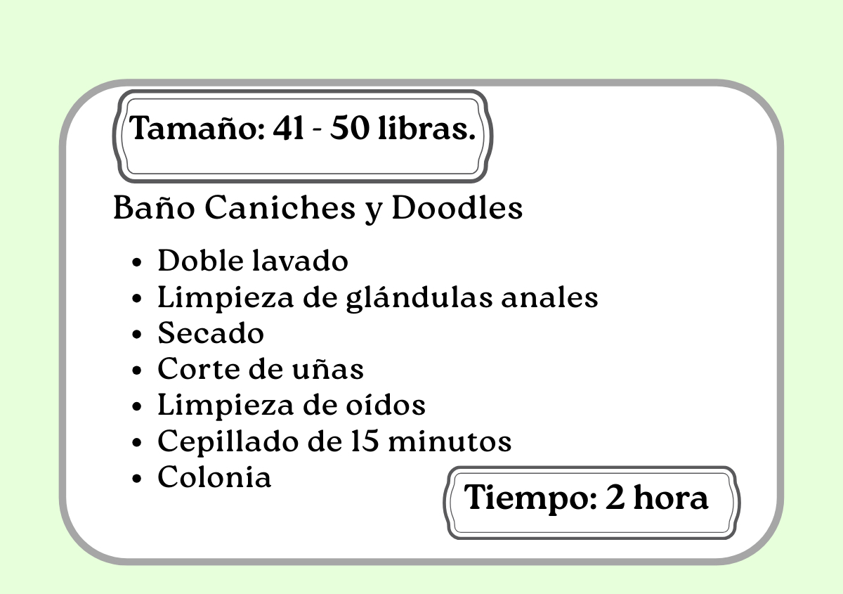 Baño Caniches y Doodles  41 -50 libras