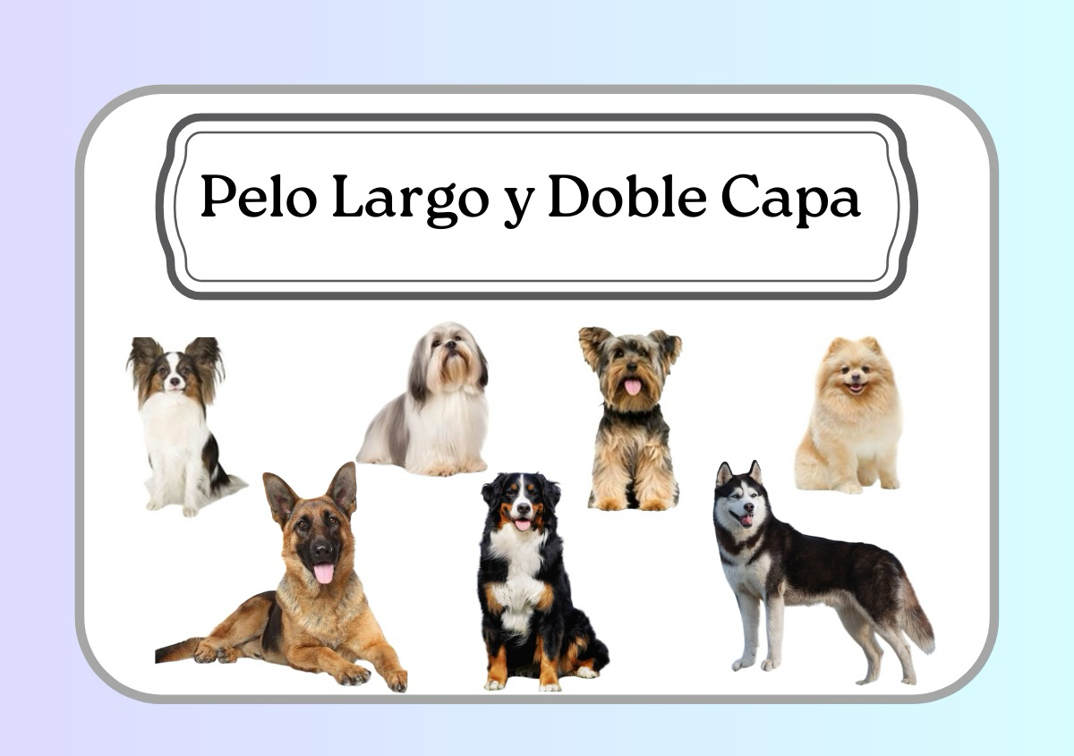 Pelo Largo y Doble Capa