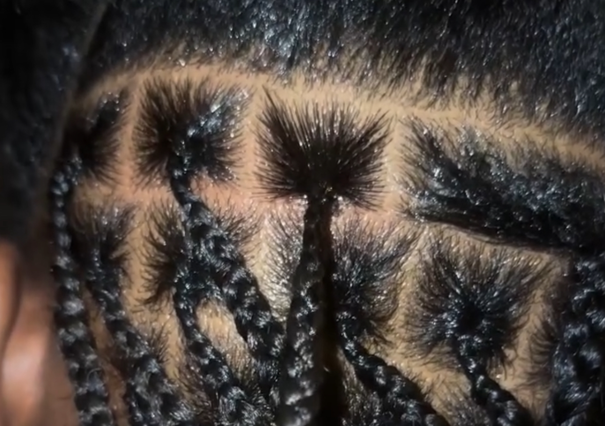 Small Box Braids (Long) 