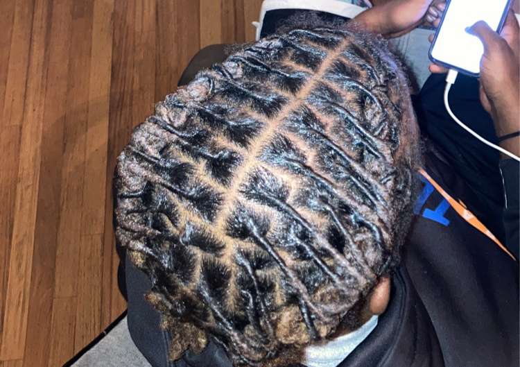 Starter Locs (Ear Length)