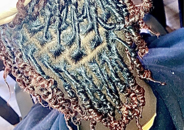 Starter Locs (Neck Length)