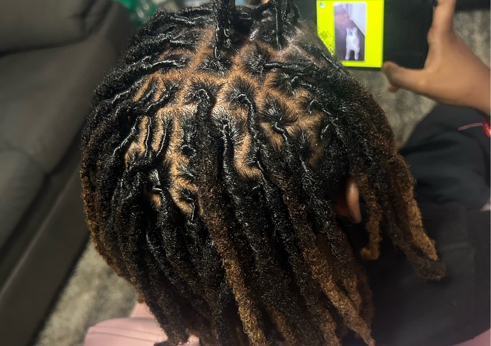 Loc retwist