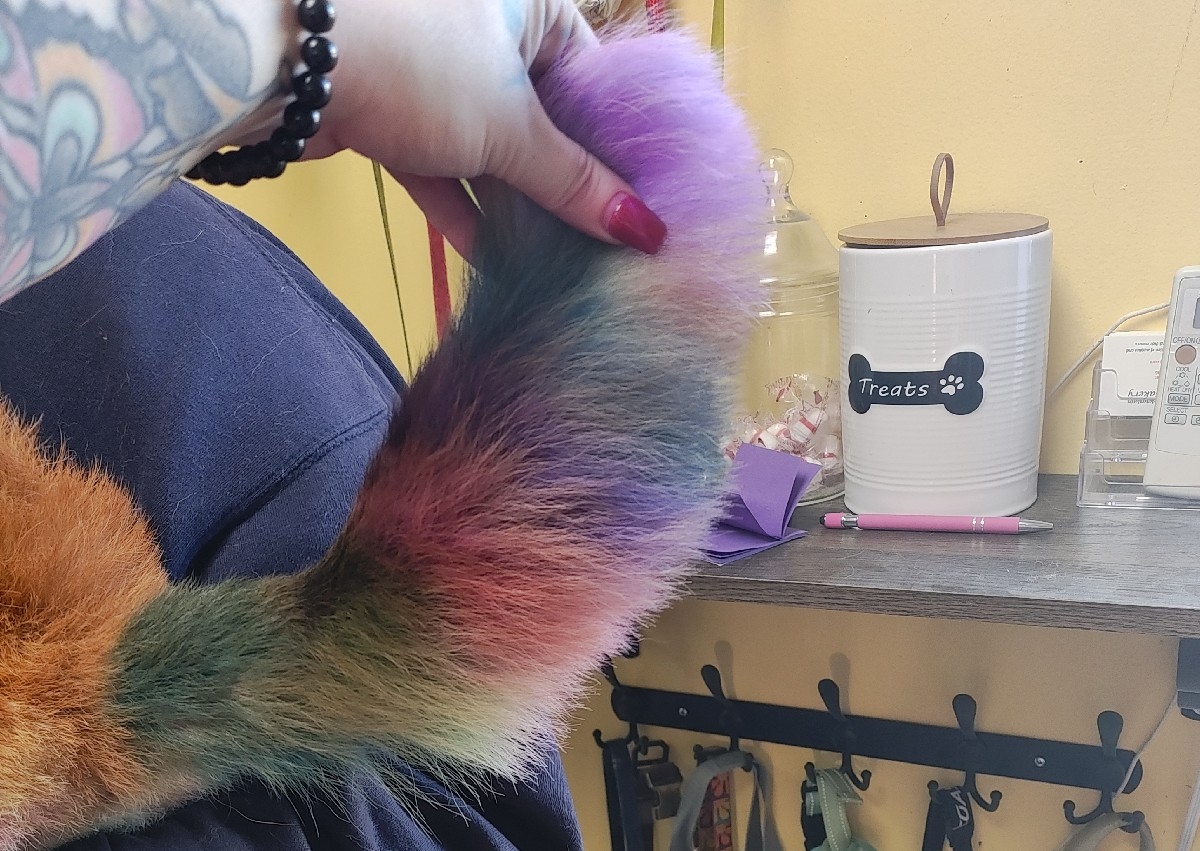 Pet Safe Fur Coloring (Add on or stand-alone service)🟥🟧🟦🟪🟩🩷🩵🖤