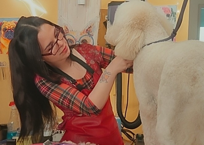 Full- Service Groom and Styling 🌹🐾🤌