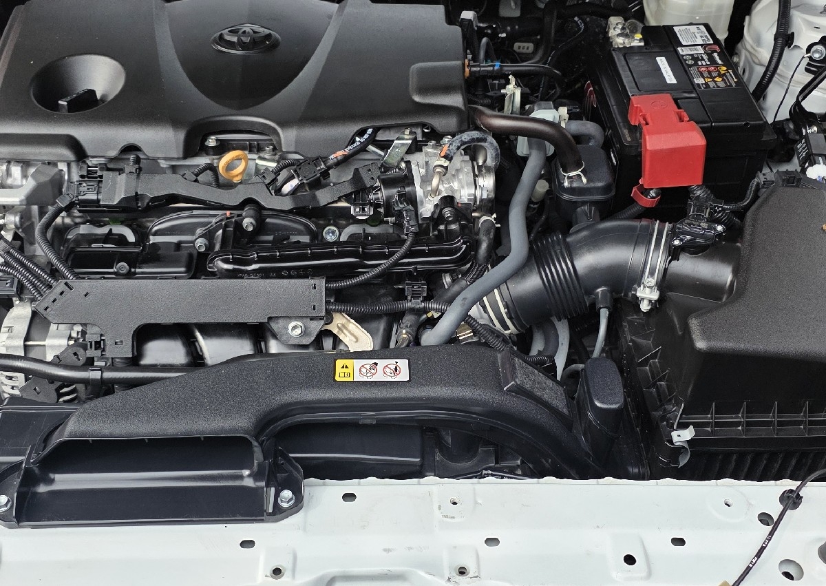 Engine cleaning 