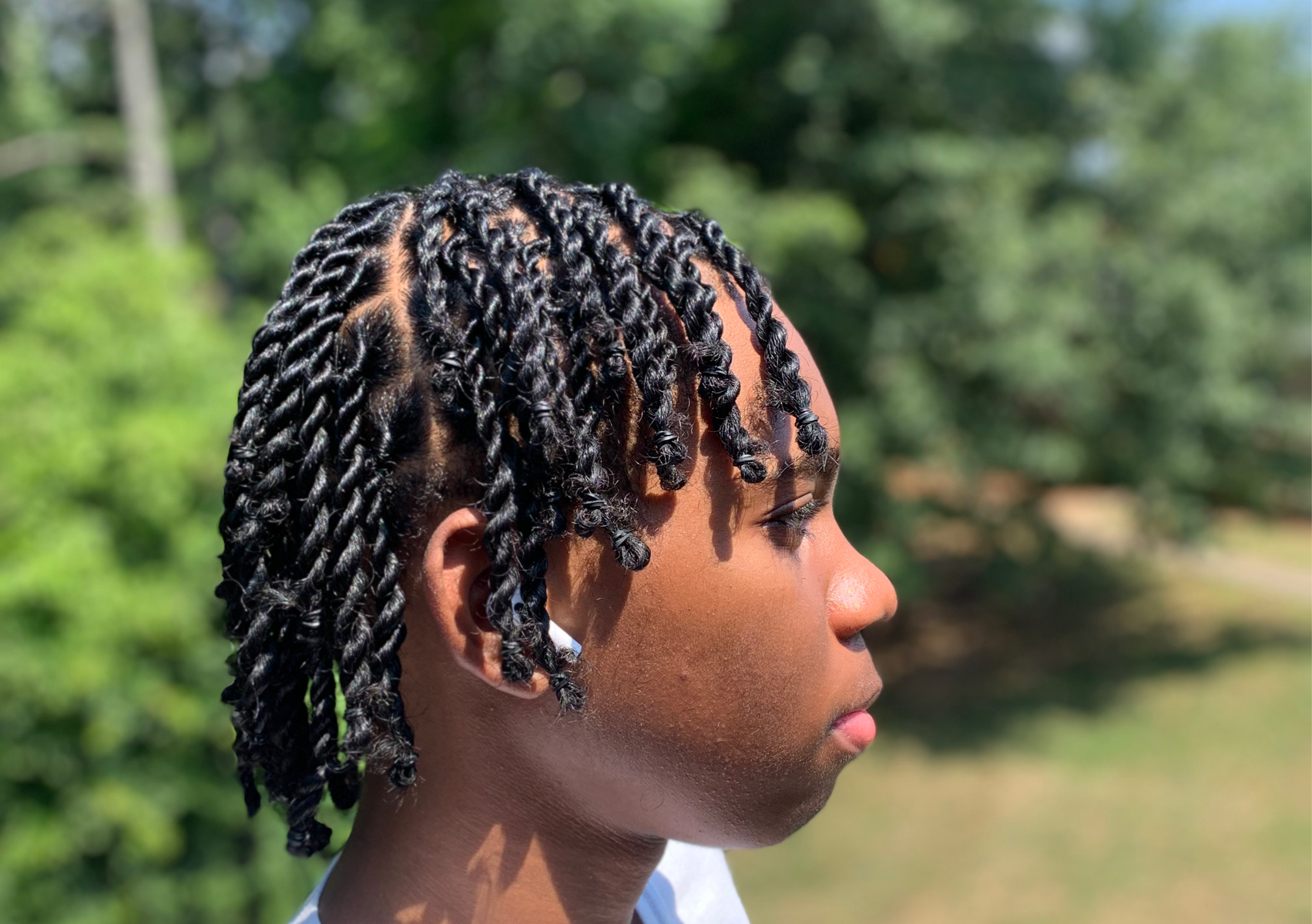 Two Strand Twist  (No shampoo)
