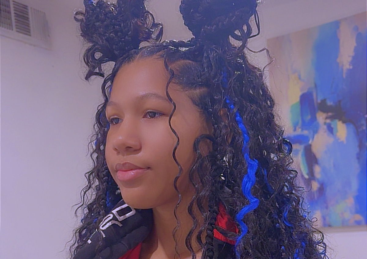 Medium  knotless braids