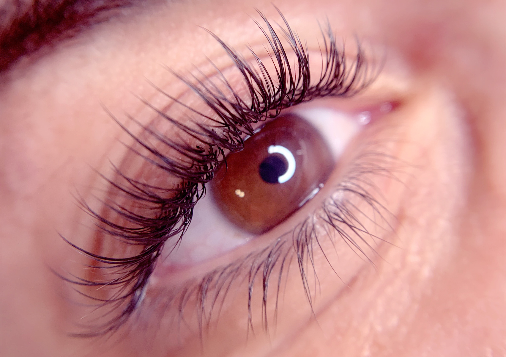 Classic Extra Full Set (Best For Wispy Sets)