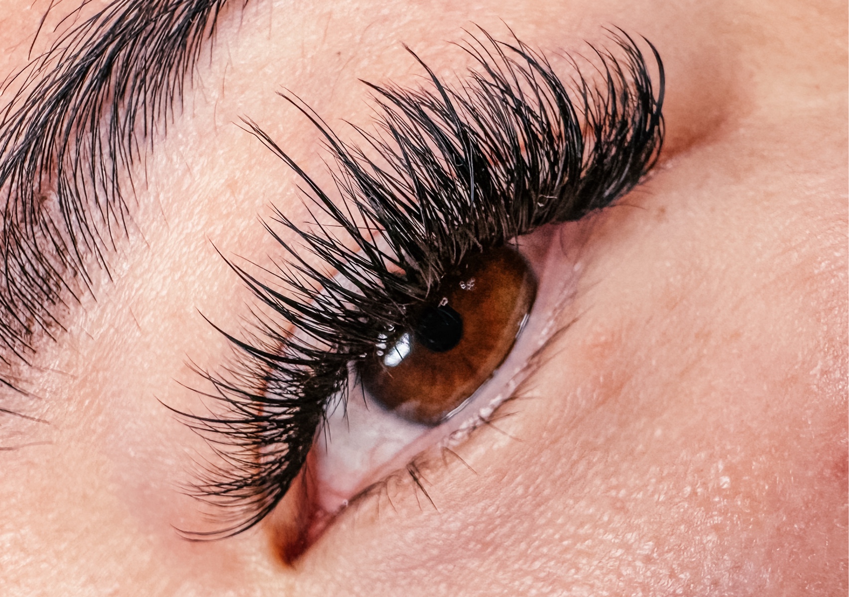 Lashaholic Signature Full Set