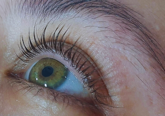 Servicio exclusivos 👑✨