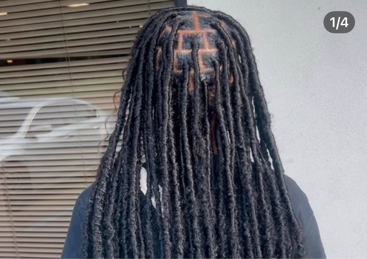 Butterfly Locs buttlength 