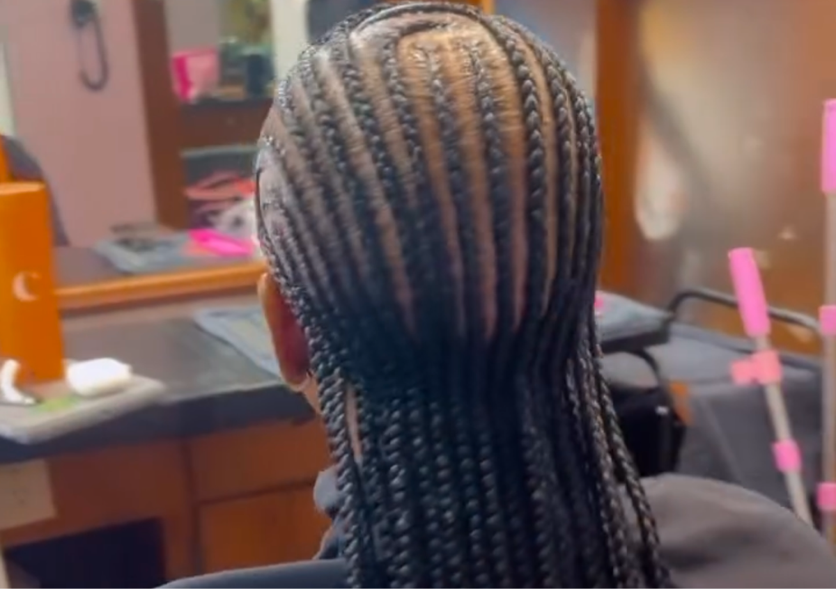 Adult Alicia keys braids small
